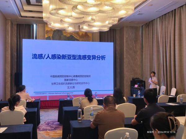 图片01.png